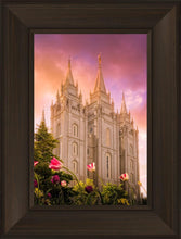 Load image into Gallery viewer, Salt Lake Tulips
