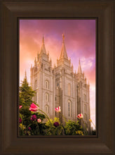 Load image into Gallery viewer, Salt Lake Tulips
