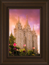 Load image into Gallery viewer, Salt Lake Tulips
