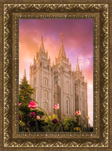 Load image into Gallery viewer, Salt Lake Tulips

