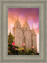 Load image into Gallery viewer, Salt Lake Tulips
