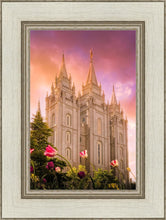 Load image into Gallery viewer, Salt Lake Tulips
