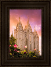 Load image into Gallery viewer, Salt Lake Tulips

