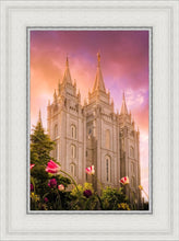 Load image into Gallery viewer, Salt Lake Tulips
