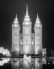 Load image into Gallery viewer, Salt Lake Nativity
