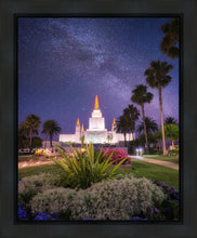 Load image into Gallery viewer, Oakland Starry Eyed
