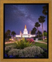 Load image into Gallery viewer, Oakland Starry Eyed
