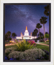 Load image into Gallery viewer, Oakland Starry Eyed
