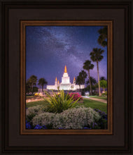 Load image into Gallery viewer, Oakland Starry Eyed
