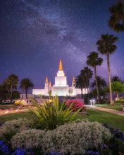 Load image into Gallery viewer, Oakland Starry Eyed
