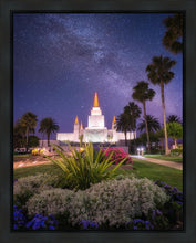 Load image into Gallery viewer, Oakland Starry Eyed
