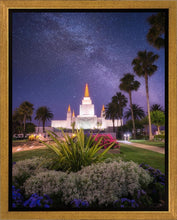 Load image into Gallery viewer, Oakland Starry Eyed
