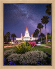 Load image into Gallery viewer, Oakland Starry Eyed
