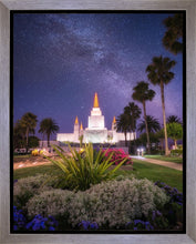 Load image into Gallery viewer, Oakland Starry Eyed
