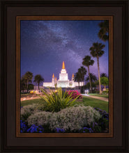 Load image into Gallery viewer, Oakland Starry Eyed
