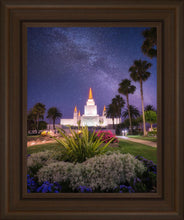 Load image into Gallery viewer, Oakland Starry Eyed
