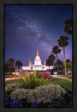 Load image into Gallery viewer, Oakland Starry Eyed
