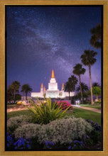 Load image into Gallery viewer, Oakland Starry Eyed

