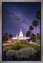 Load image into Gallery viewer, Oakland Starry Eyed
