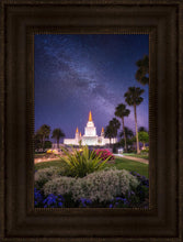 Load image into Gallery viewer, Oakland Starry Eyed
