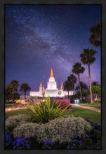 Load image into Gallery viewer, Oakland Starry Eyed
