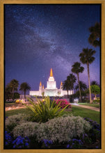 Load image into Gallery viewer, Oakland Starry Eyed
