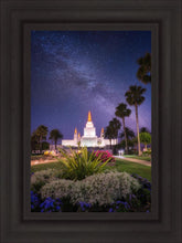 Load image into Gallery viewer, Oakland Starry Eyed
