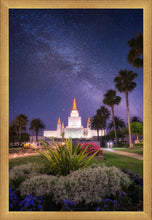 Load image into Gallery viewer, Oakland Starry Eyed
