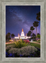 Load image into Gallery viewer, Oakland Starry Eyed
