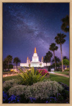 Load image into Gallery viewer, Oakland Starry Eyed
