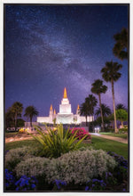 Load image into Gallery viewer, Oakland Starry Eyed
