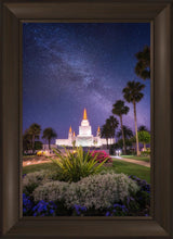 Load image into Gallery viewer, Oakland Starry Eyed
