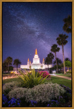 Load image into Gallery viewer, Oakland Starry Eyed
