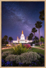 Load image into Gallery viewer, Oakland Starry Eyed
