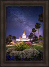 Load image into Gallery viewer, Oakland Starry Eyed
