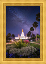 Load image into Gallery viewer, Oakland Starry Eyed

