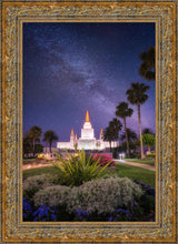 Load image into Gallery viewer, Oakland Starry Eyed
