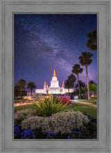 Load image into Gallery viewer, Oakland Starry Eyed
