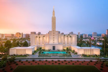 Load image into Gallery viewer, Los Angeles From On High
