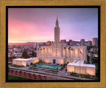 Load image into Gallery viewer, Los Angeles Weathering the Storm
