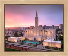 Load image into Gallery viewer, Los Angeles Weathering the Storm
