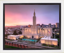Load image into Gallery viewer, Los Angeles Weathering the Storm
