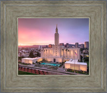 Load image into Gallery viewer, Los Angeles Weathering the Storm
