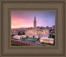Load image into Gallery viewer, Los Angeles Weathering the Storm
