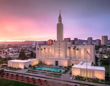 Load image into Gallery viewer, Los Angeles Weathering the Storm
