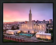 Load image into Gallery viewer, Los Angeles Weathering the Storm
