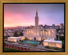Load image into Gallery viewer, Los Angeles Weathering the Storm
