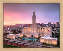 Load image into Gallery viewer, Los Angeles Weathering the Storm
