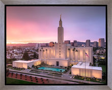 Load image into Gallery viewer, Los Angeles Weathering the Storm
