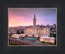 Load image into Gallery viewer, Los Angeles Weathering the Storm
